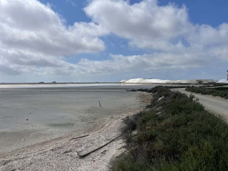 Visit Camargue and Espiguette Lighthouse from Montpellier - The Sum Up