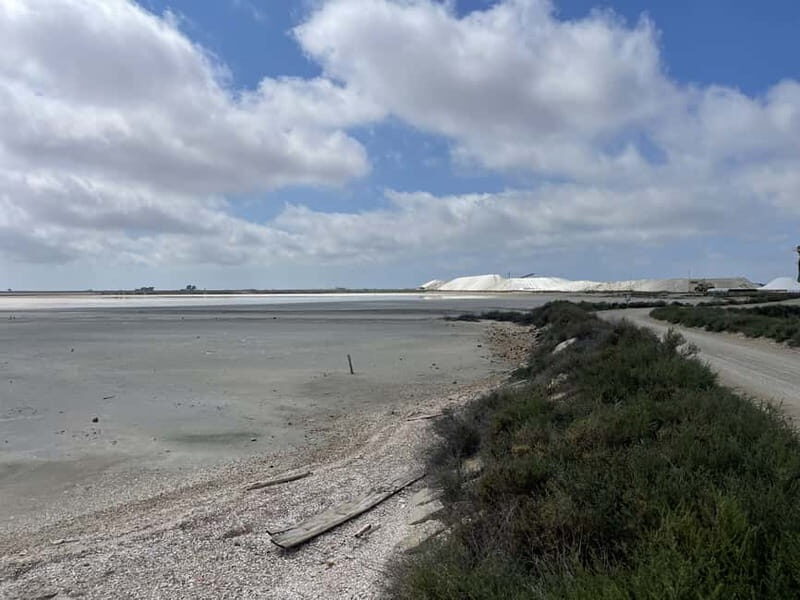 Visit Camargue and Espiguette Lighthouse from Montpellier - The Sum Up