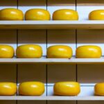 Visit family farm and enjoy cheese degustation - The Charm of Czech Family Farming and Cheese