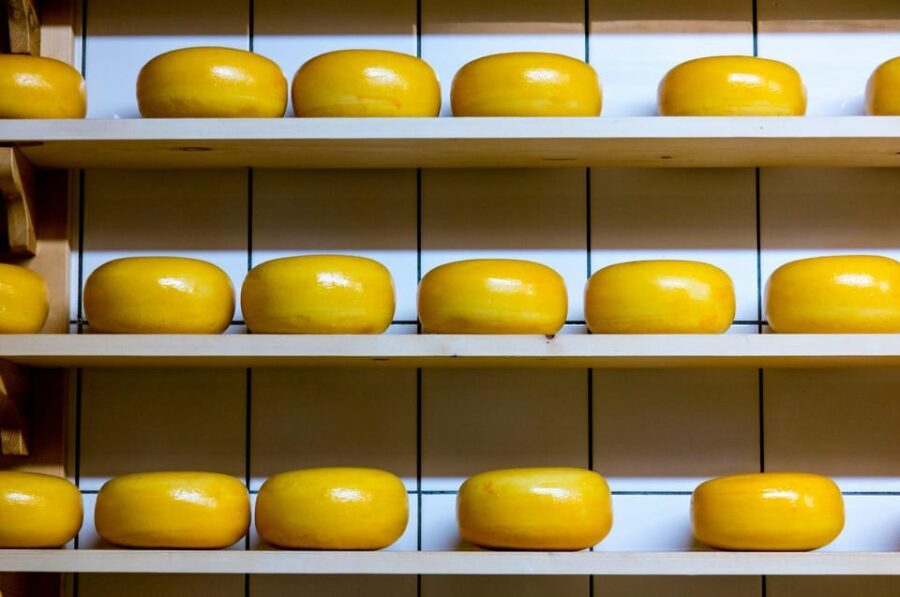 Visit family farm and enjoy cheese degustation - The Charm of Czech Family Farming and Cheese