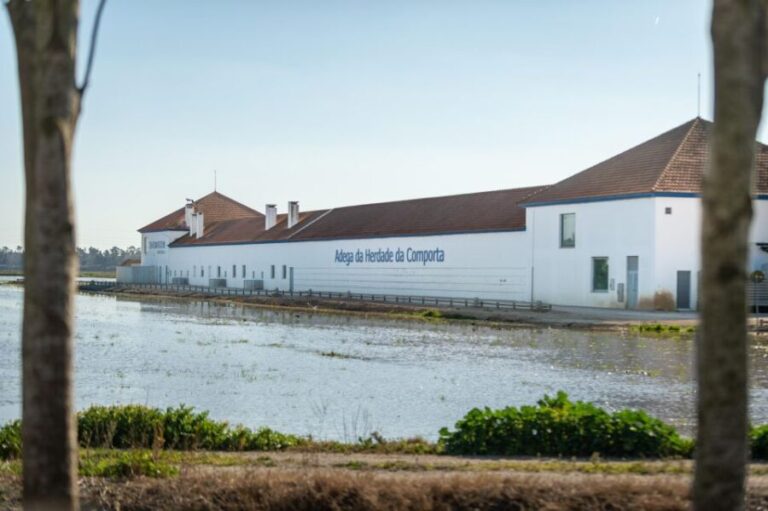 Visit Herdade da Comporta Winery - In-Depth Review of the Herdade da Comporta Winery Tour