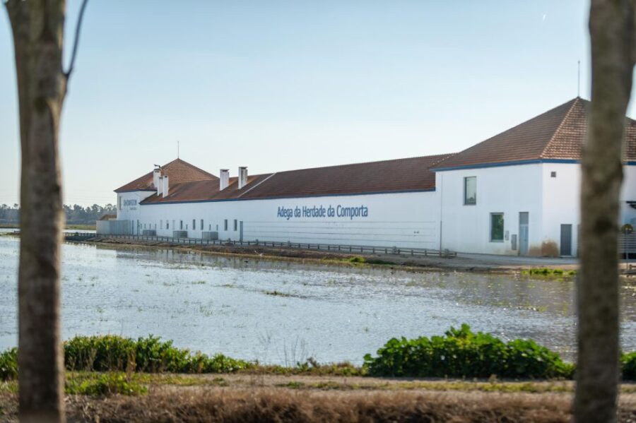 Visit Herdade da Comporta Winery - In-Depth Review of the Herdade da Comporta Winery Tour