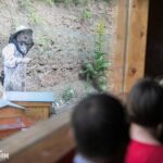 Visit - immersion in the heart of the bee world! - The Sum Up