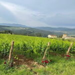 Visit Of The Chianti Classico And The Tuscan Countryside - Transportation and Group Size