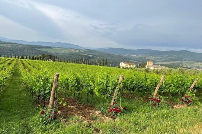 Visit Of The Chianti Classico And The Tuscan Countryside - Transportation and Group Size