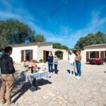 Visit of the olive grove, olive oil tasting and snack - The Experience on the Ground: What You’re Likely to See and Hear