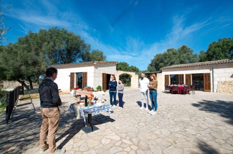 Visit of the olive grove, olive oil tasting and snack - The Experience on the Ground: What You’re Likely to See and Hear