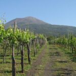 Visit Pompeii and Sorrento - FAQ