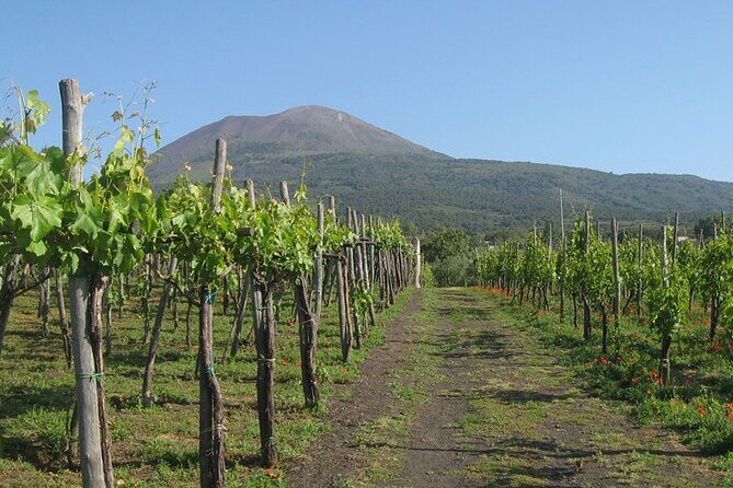Visit Pompeii and Sorrento - FAQ