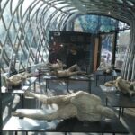 Visit Pompeii with an expert professional guide (2/3 hours) - Practical Tips for Your Pompeii Tour