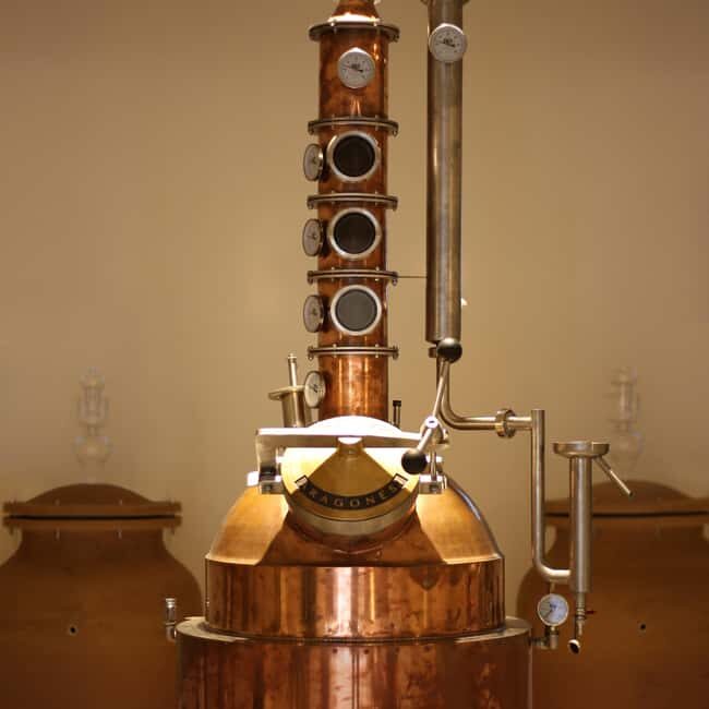 Visit the distillery of Ischia island - The Experience of Visiting the Ischia Distillery