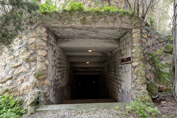 Visit the Etruscan underground Heritage Site of Tarquinia - Who Should Consider This Tour?