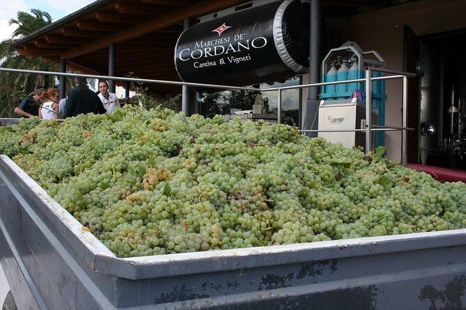 Visit the Marchesi de Cordano winery and taste its wines - The Sum Up