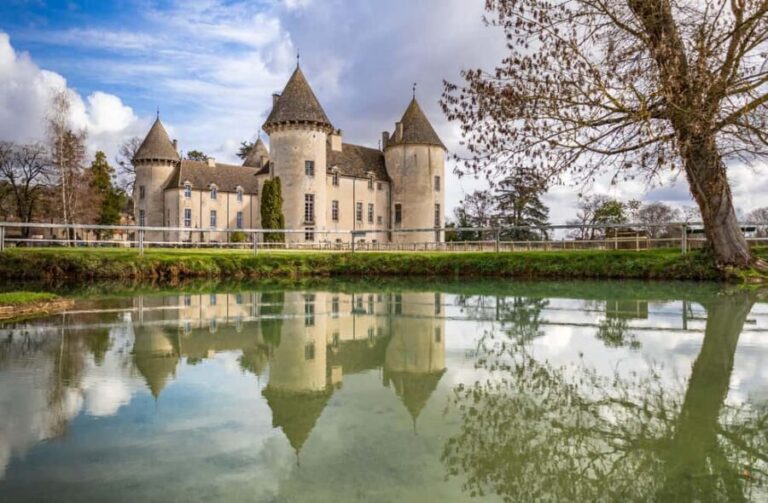Visit the museums at Château de Savigny: aircraft, cars, motorcycles, and more. - Who Should Visit?