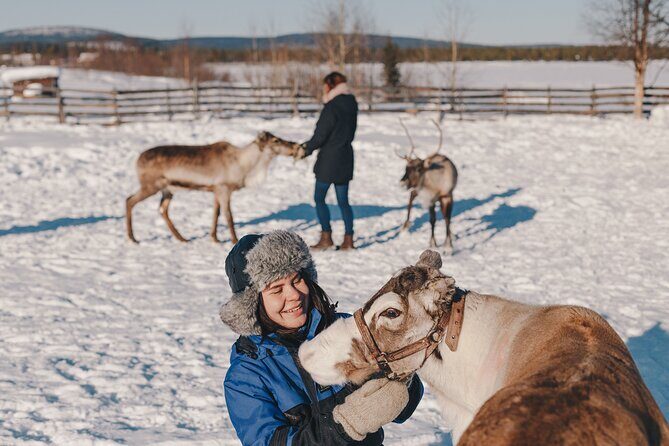 Visit the Sami and Reindeer in a Day Trip from Abisko - Frequently Asked Questions
