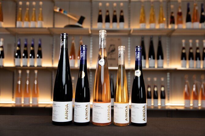 Visit to Authentic Finnish Berry Winery, Tasting Included - Authenticity and Quality: What Travelers Say