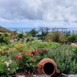 Visit to Madeira Bird Island - Key Points