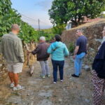 Visit to Quinta de Sobre a Fonte with wine tasting - pet friendly - Exploring Quinta de Sobre a Fonte: A Closer Look