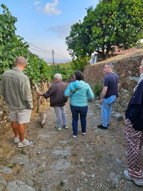 Visit to Quinta de Sobre a Fonte with wine tasting - pet friendly - Exploring Quinta de Sobre a Fonte: A Closer Look