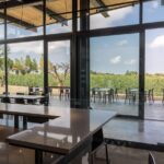 Visit to the cellar and tasting - A Detailed Look at the Experience