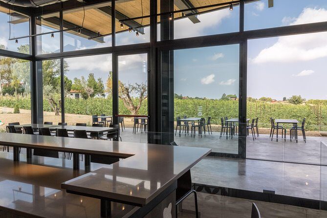 Visit to the cellar and tasting - A Detailed Look at the Experience