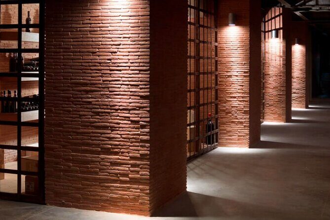 Visit to the cellar at the Feudi di San Gregorio da Sorrento - Discovering the Setting and Views