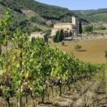 Visit to the Cellar with Wine & Food Tasting over the Val d'Orcia - A Closer Look at the Experience