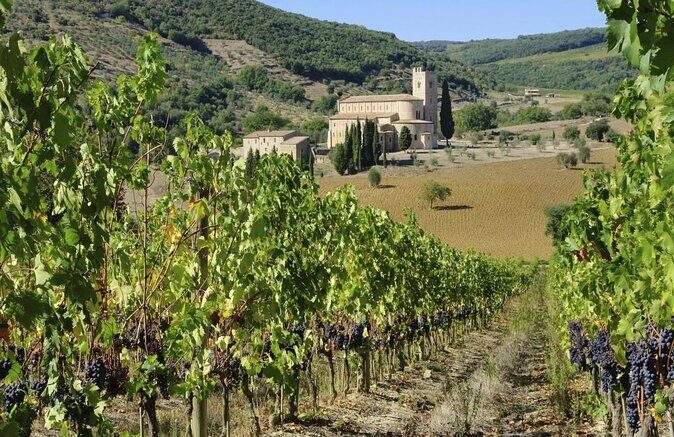 Visit to the Cellar with Wine & Food Tasting over the Val d'Orcia - A Closer Look at the Experience