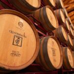 Visit to the Winery with Wine Tasting and Appetizers in Navarra - Authenticity and Value