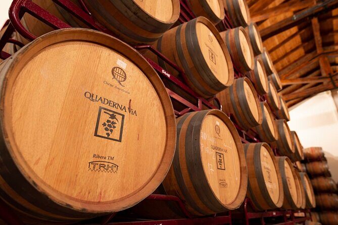 Visit to the Winery with Wine Tasting and Appetizers in Navarra - Authenticity and Value
