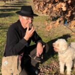 Visit truffle fields and hunt with a dog in all seasons. - What the Reviews Say