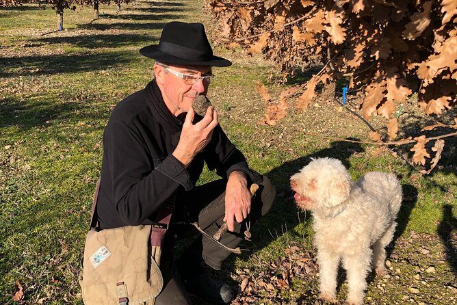 Visit truffle fields and hunt with a dog in all seasons. - What the Reviews Say