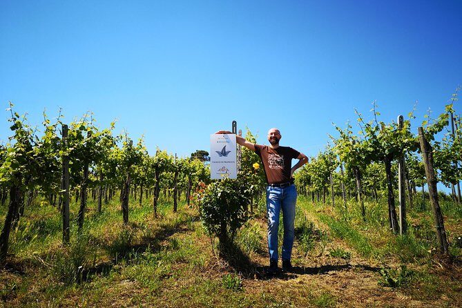 Visit, wine tasting and lunch - Frequently Asked Questions