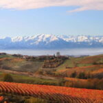 Visita guidata e Degustazione vini Monforte d'Alba - FAQ