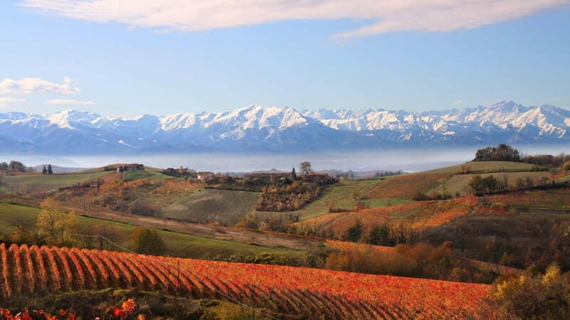 Visita guidata e Degustazione vini Monforte d'Alba - FAQ