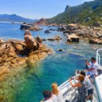 Visite en bateau avec final au COUCHER DE SOLEIL+vin Corse - Why This Tour Works Well