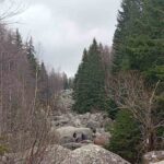 Vitosha Mountain- Heritage and Hiking- Private Day Trip - Boyana Church and UNESCO Heritage