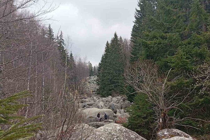 Vitosha Mountain- Heritage and Hiking- Private Day Trip - Boyana Church and UNESCO Heritage