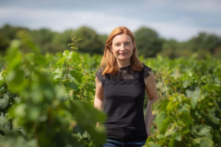 Vitteaut-Alberti: discovery tasting of 4 Crémants de Bourgogne - A Detailed Look at the Vitteaut-Alberti Crémant Tasting