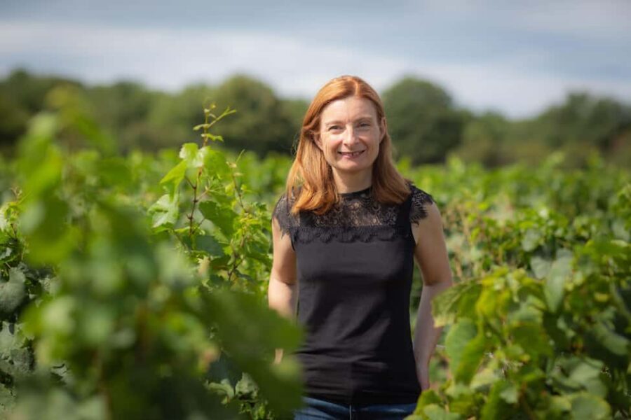 Vitteaut-Alberti: discovery tasting of 4 Crémants de Bourgogne - A Detailed Look at the Vitteaut-Alberti Crémant Tasting