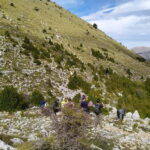 Vlore : Llogara National Park Infocenter to Deep Neck - The Jungle Trail: Walking Through a Small Wilderness