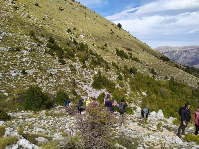 Vlore : Llogara National Park Infocenter to Deep Neck - The Jungle Trail: Walking Through a Small Wilderness