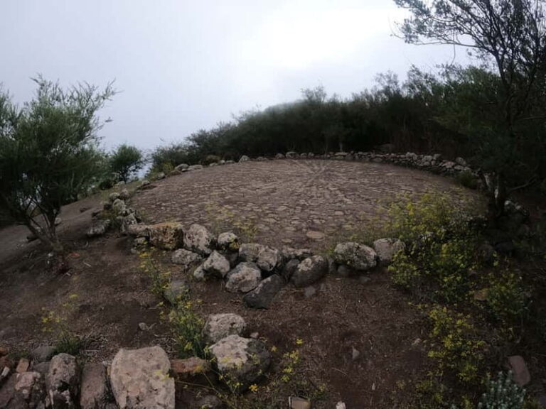 Volcanes, Viñedos y Laurisilva  Santiago del Teide - Practical Details and What to Bring