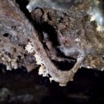 Volcanic caving Las Palomas Cave (ES-EN) - Final Thoughts: Is This Tour Right for You?