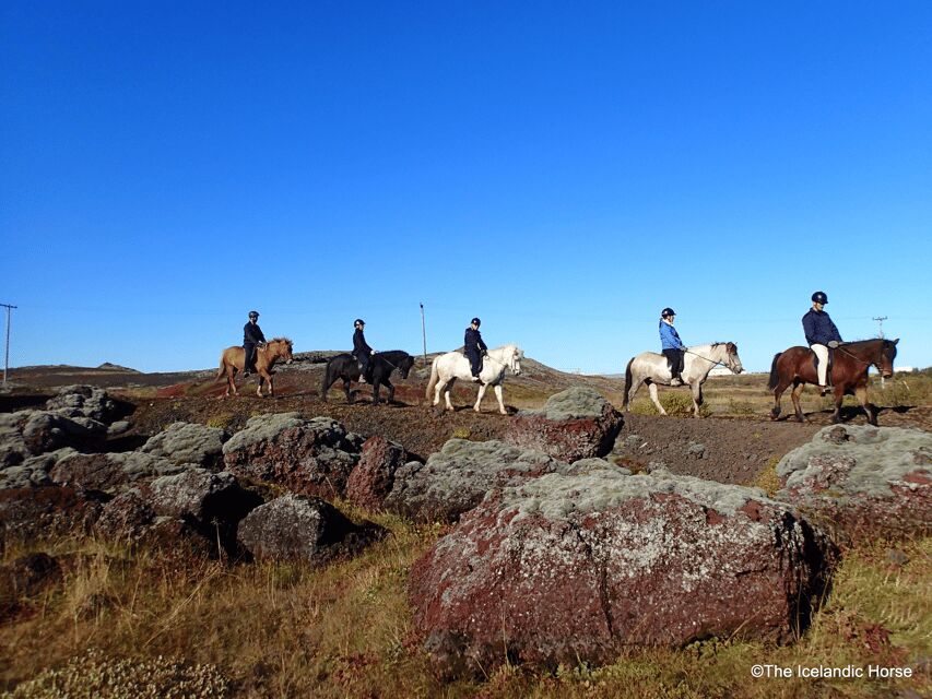 Volcanic Landscape Iceland Horse Riding Tours - An In-Depth Look at the Experience
