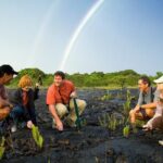 Volcano, Chocolate and Waterfalls of the Big Island - Who Would Love This Tour?