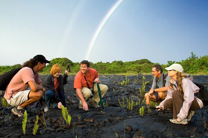 Volcano, Chocolate and Waterfalls of the Big Island - Who Would Love This Tour?