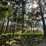Volcano of Fogo and Furnas Private Tour - Frequently Asked Questions