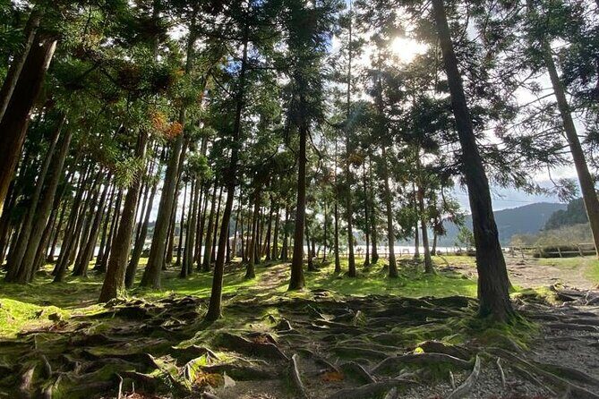 Volcano of Fogo and Furnas Private Tour - Frequently Asked Questions