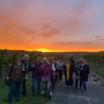 Volkach/Fahr: Wine Spirit Rebellion wine hike - Who Will Love This Tour?